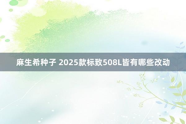麻生希种子 2025款标致508L皆有哪些改动