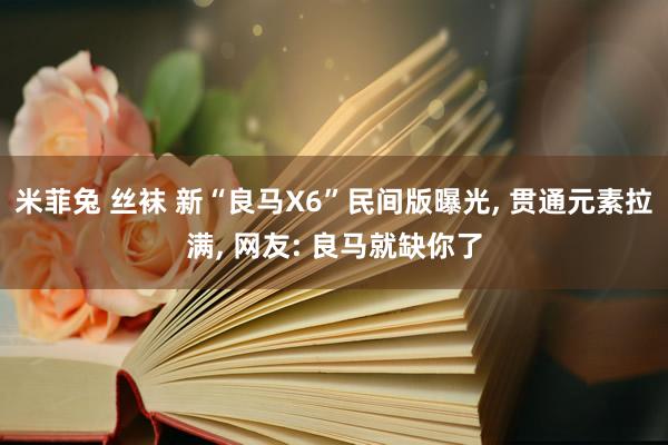米菲兔 丝袜 新“良马X6”民间版曝光， 贯通元素拉满， 网友: 良马就缺你了